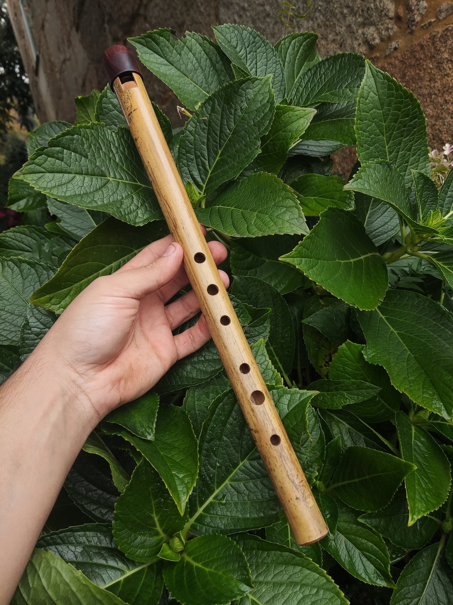 Low A Whistle Handmade out of Bamboo | Suitable for Irish and Folk Music | Rosewood and Bamboo | Traditional Music | Rui Gomes
