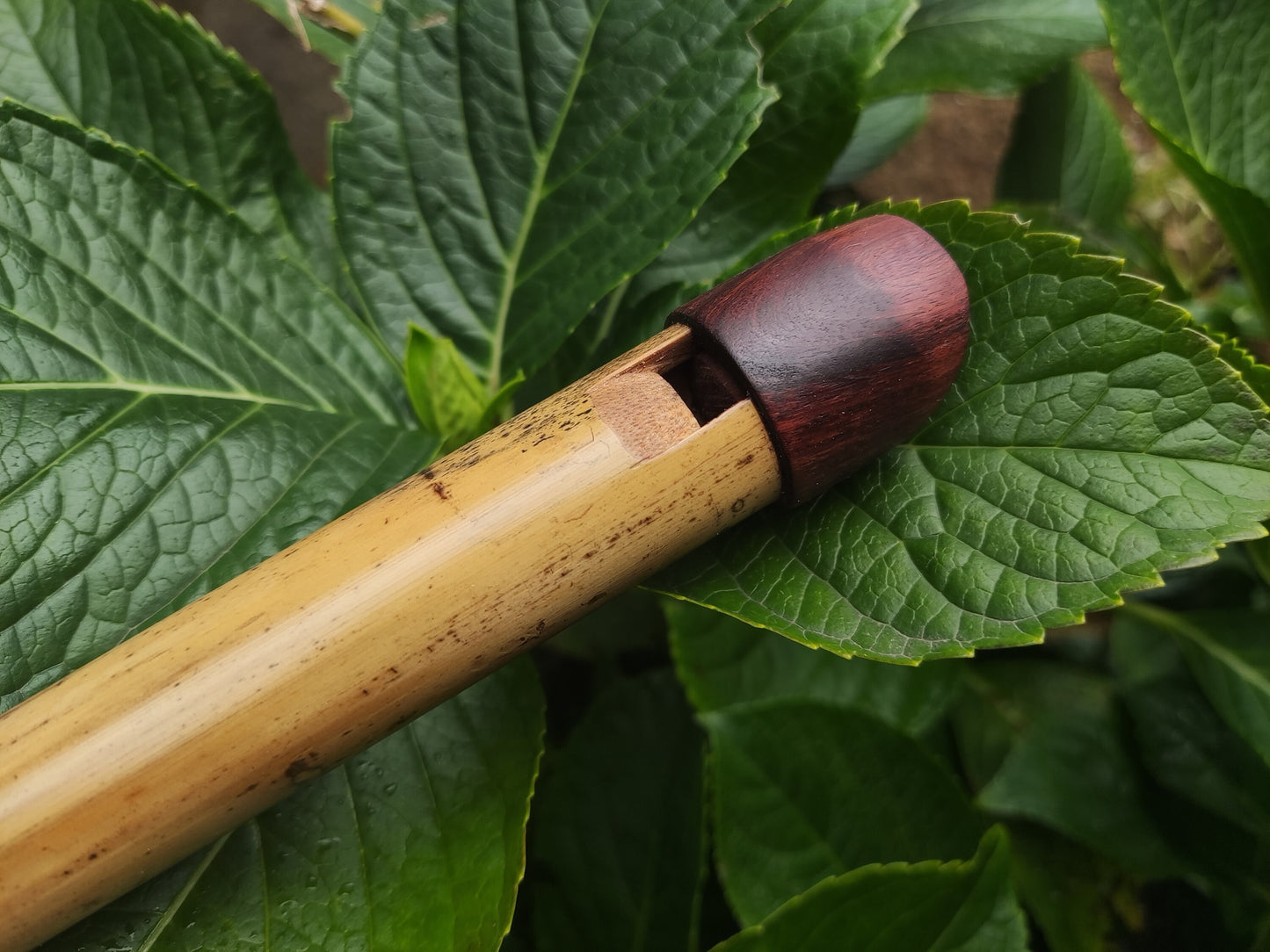 Low A Whistle Handmade out of Bamboo | Suitable for Irish and Folk Music | Rosewood and Bamboo | Traditional Music | Rui Gomes