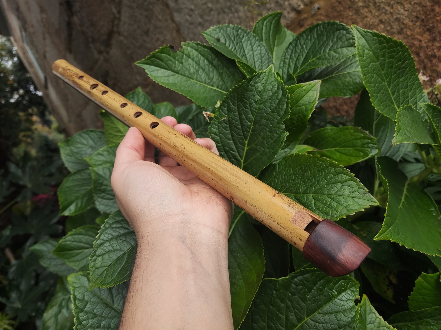 Low A Whistle Handmade out of Bamboo | Suitable for Irish and Folk Music | Rosewood and Bamboo | Traditional Music | Rui Gomes