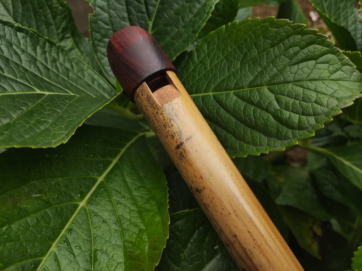 Low A Whistle Handmade out of Bamboo | Suitable for Irish and Folk Music | Rosewood and Bamboo | Traditional Music | Rui Gomes