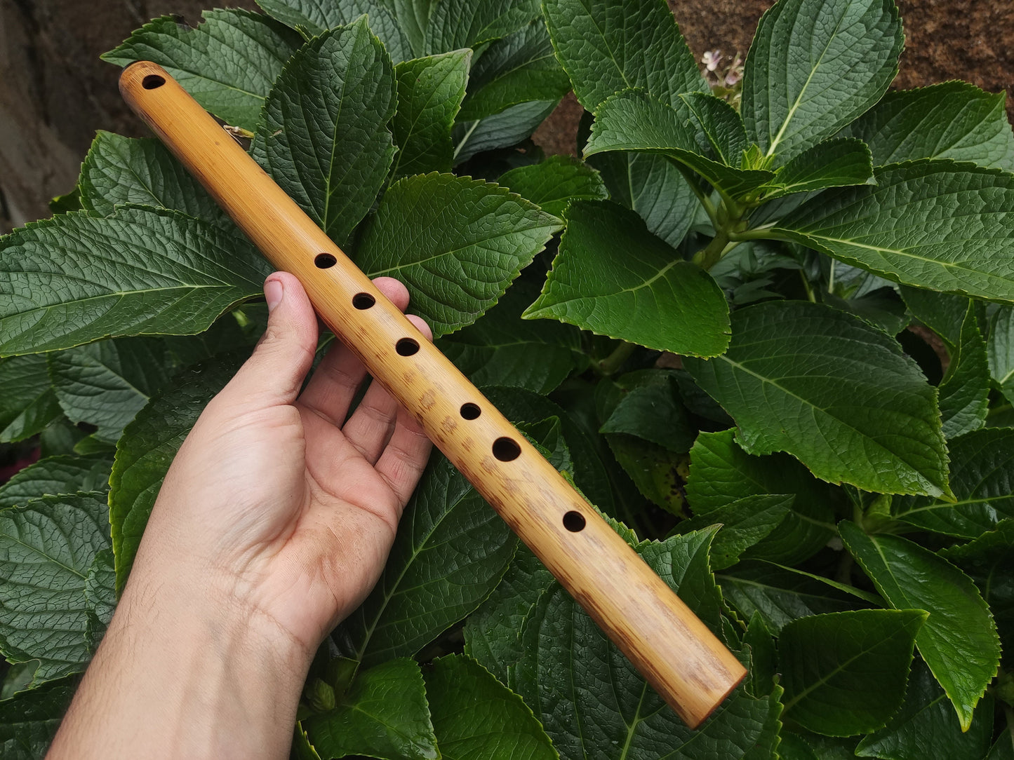 A Major Transverse Flute handmade out of Bamboo | 6-hole Concert pitched Flute | Folk and World Music | Gift for Musician | Rui Gomes