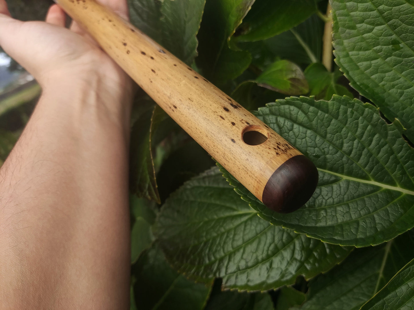 One of a kind low D Bamboo Flute | 6 holes major scale flute fine tuned in A=440Hz | Concert quality bamboo flute | Gift for Musician