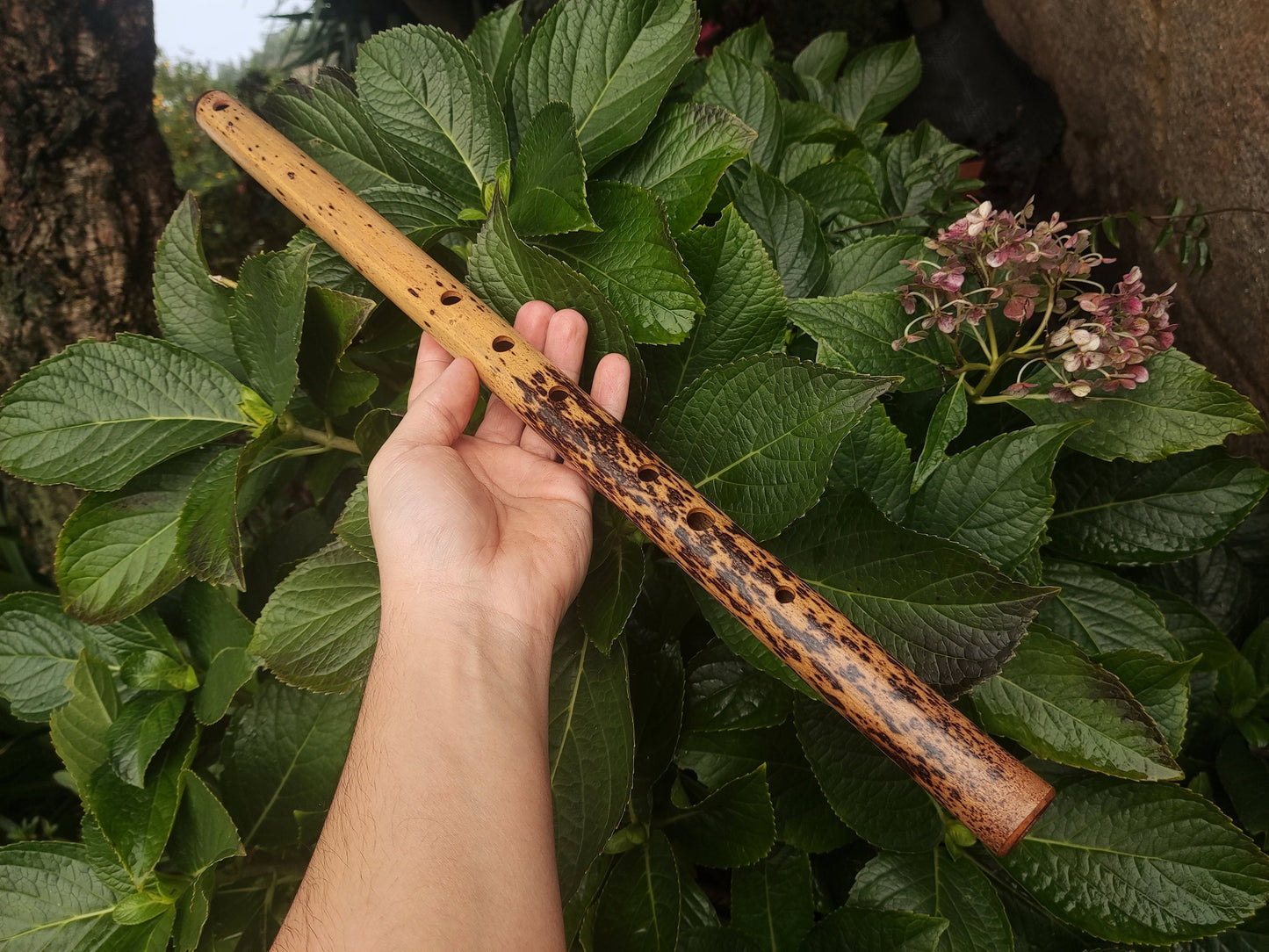 One of a kind low D Bamboo Flute | 6 holes major scale flute fine tuned in A=440Hz | Concert quality bamboo flute | Gift for Musician
