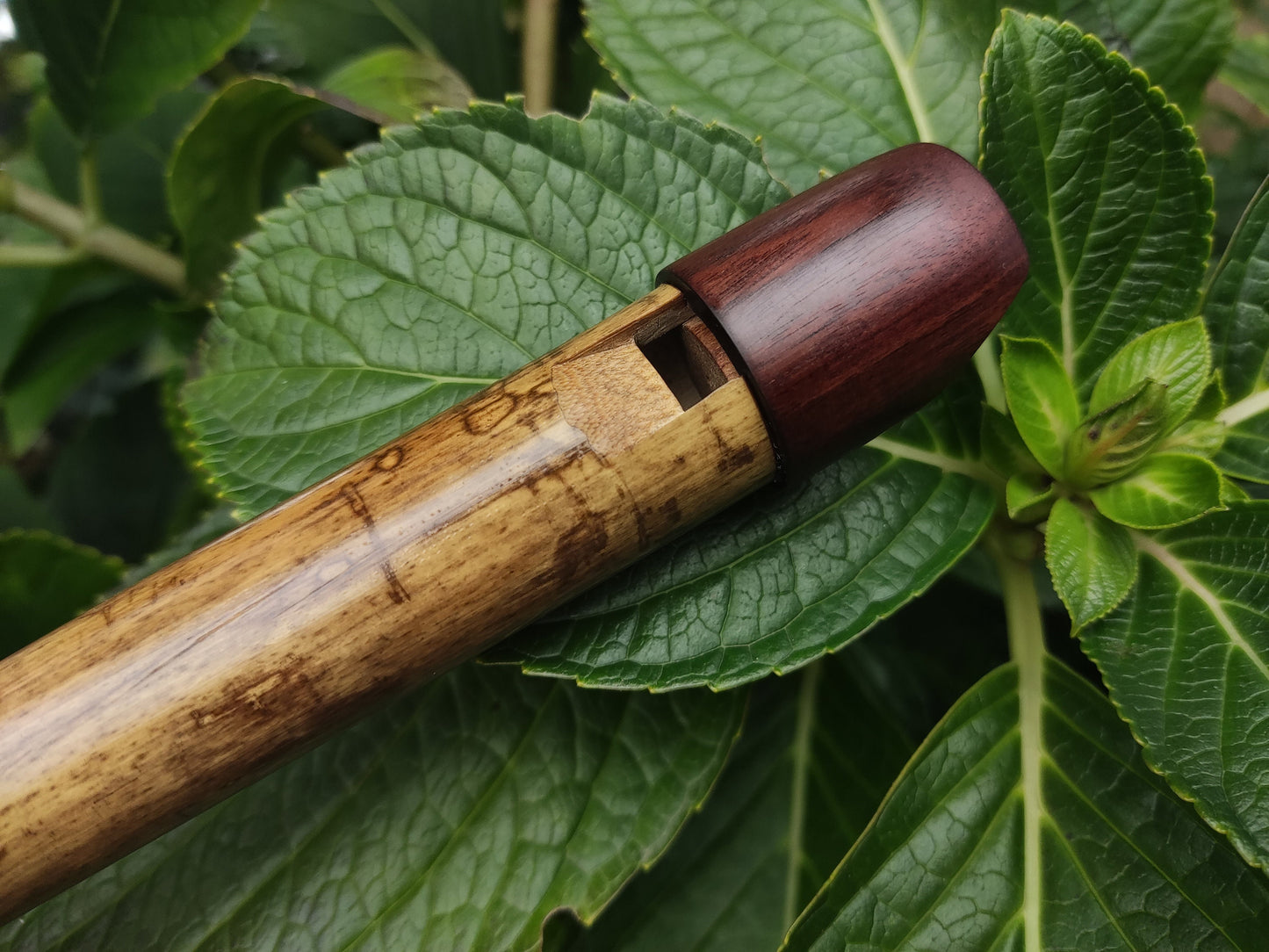Low G Whistle, handmade in the Irish Style | Concert tuned Alto G bamboo flute tuned to a Major Scale | 6 holes Bamboo Whistle | Rui Gomes