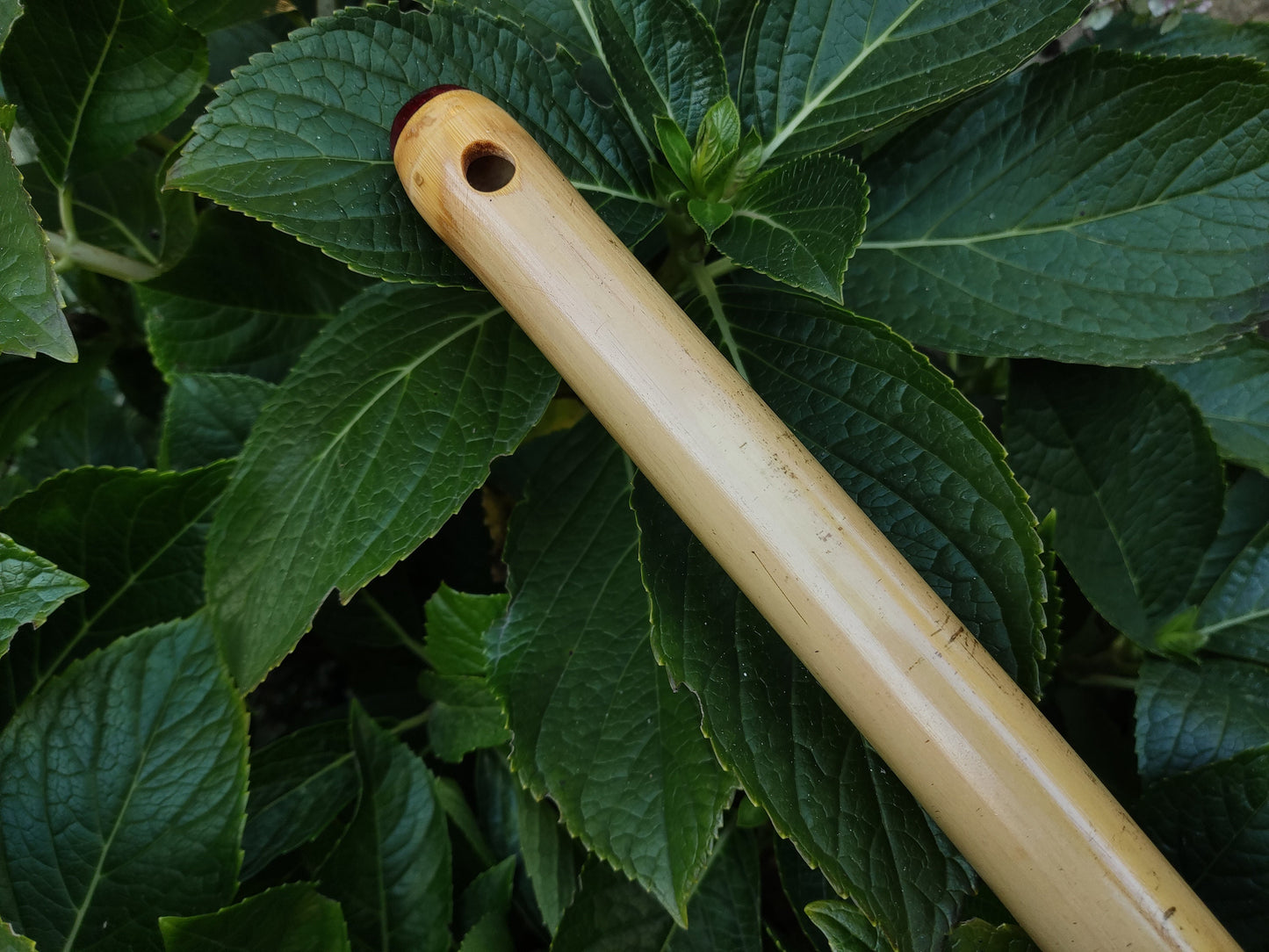 Low D Irish Flute handmade out of Bamboo | Concert quality Flute in the key of D | Gift for Musician | Irish Music | Trad Music | Rui Gomes