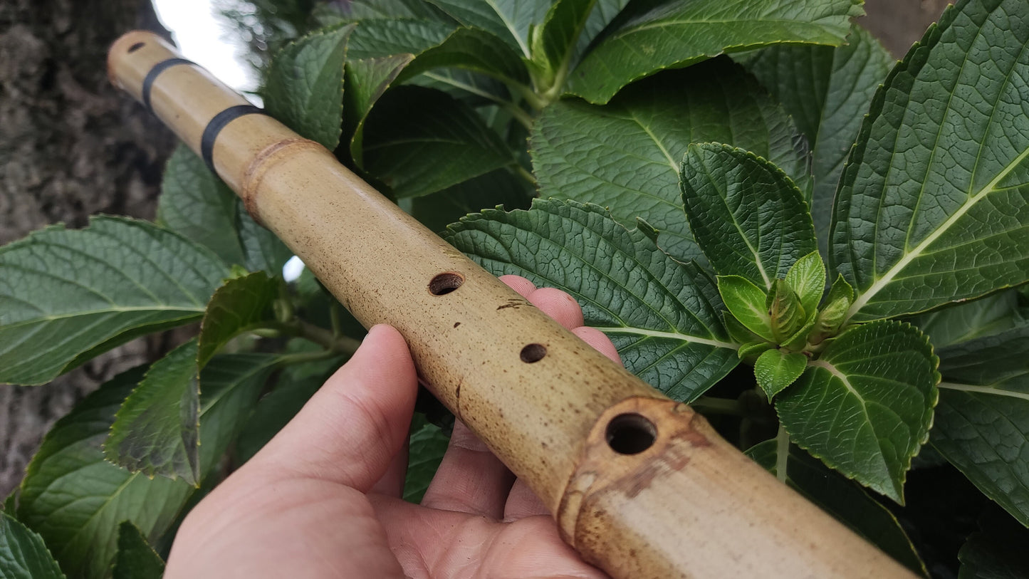Made to order Flute for Dustin Chan
