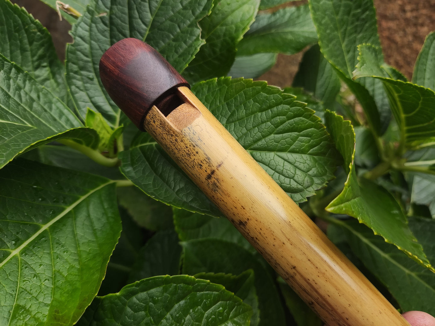 Whistle style Aeolean Flute in the key of F or E