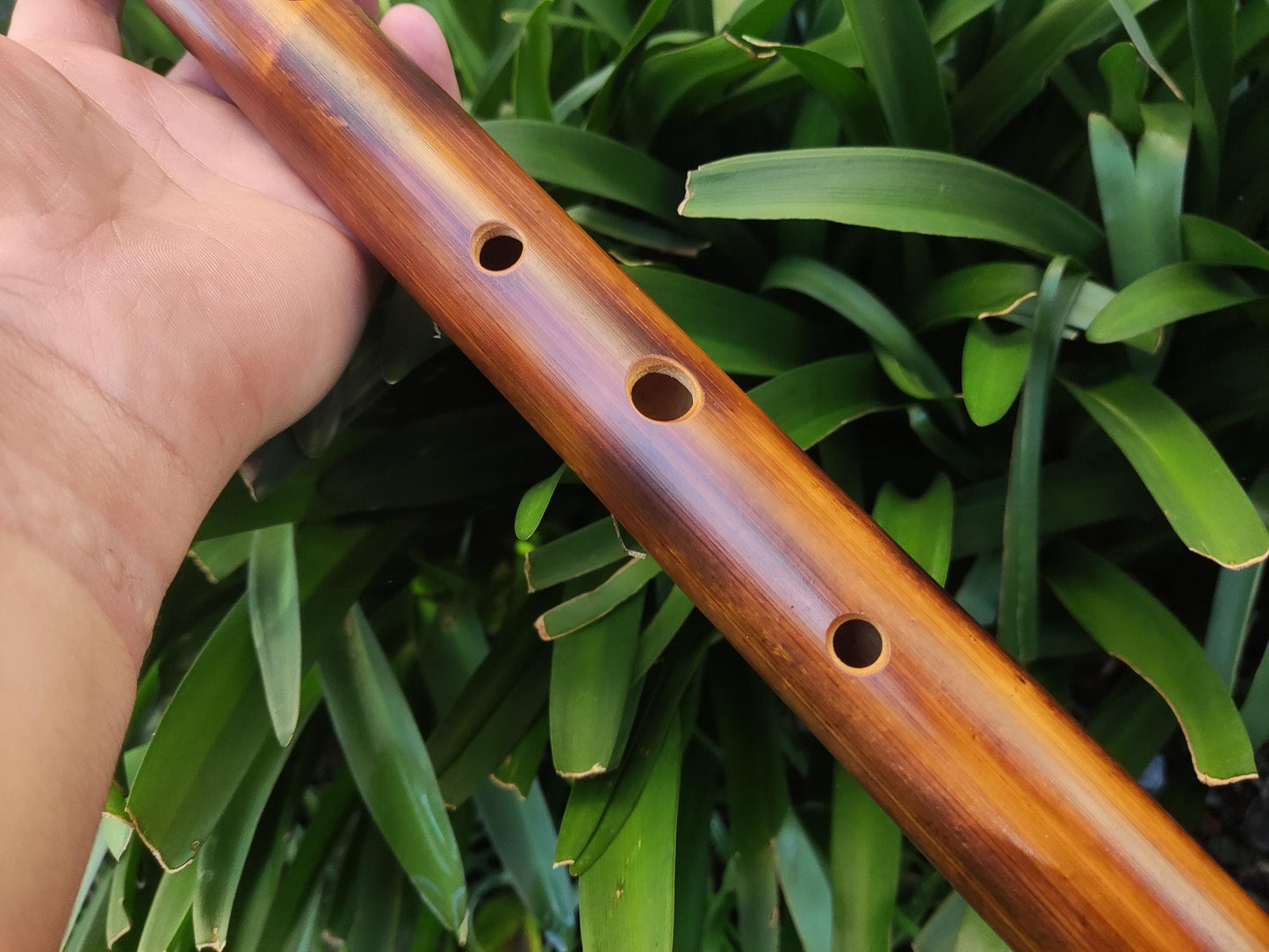 Low B Major Scale Bamboo Flute | 6-hole Concert tuned Flute for Folk | Bansuri equivalent for western music | Handmade by Rui Gomes