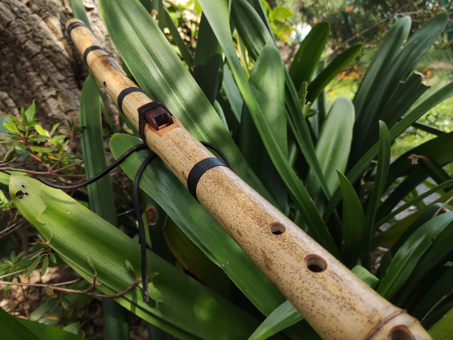 The Crooked flute! Native American Style bamboo flute. Easy to play Flute for Meditation and Sound Healing | Gift for Musician |  Rui Gomes