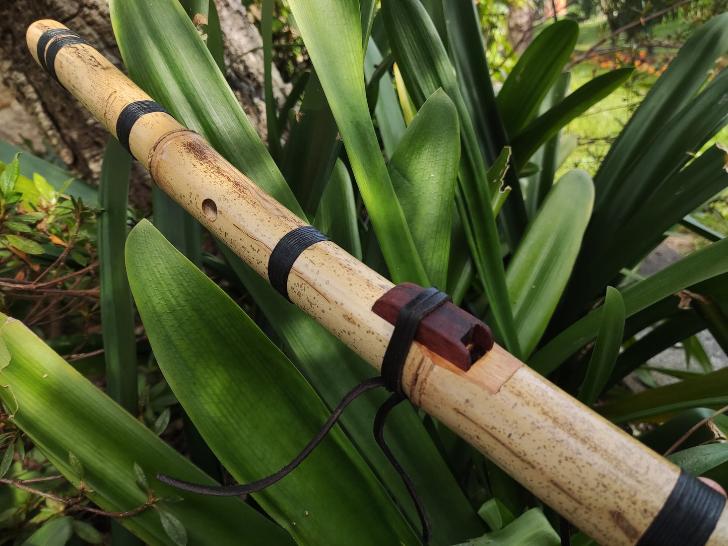 The Crooked flute! Native American Style bamboo flute. Easy to play Flute for Meditation and Sound Healing | Gift for Musician |  Rui Gomes