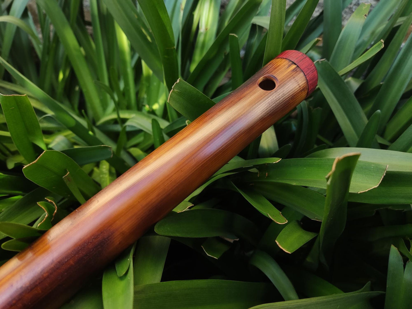 Low B Major Scale Bamboo Flute | 6-hole Concert tuned Flute for Folk | Bansuri equivalent for western music | Handmade by Rui Gomes