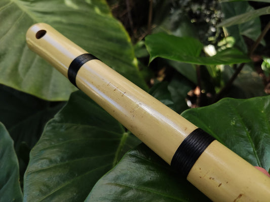 Small Transverse Bamboo flute Orientally Inspired | Same scale as the Japanese Shakuhachi | Zen inspired tool for Meditation | Rui Gomes
