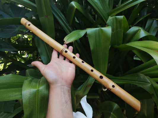 Unique Bamboo Flute in the key of low E, One of a kind Concert Tuned Traverso | For Intuitive or Folk music | Gift for Musician | Rui Gomes