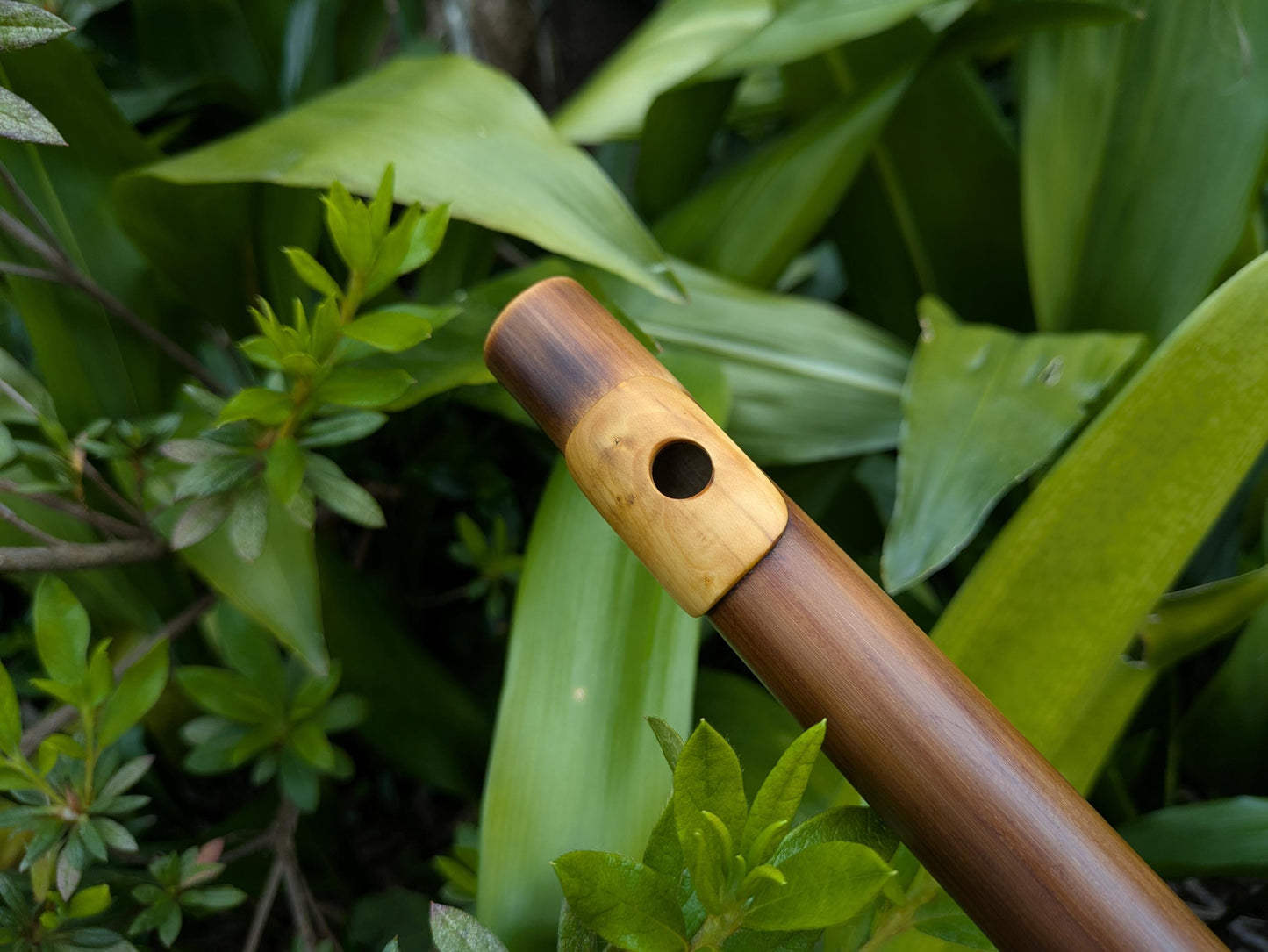 Bamboo flute in D Major with Boxwood Lip Plate | Right handed 6 holes Flute for Irish and Folk Music | Handmade Transverse Flute | Rui Gomes
