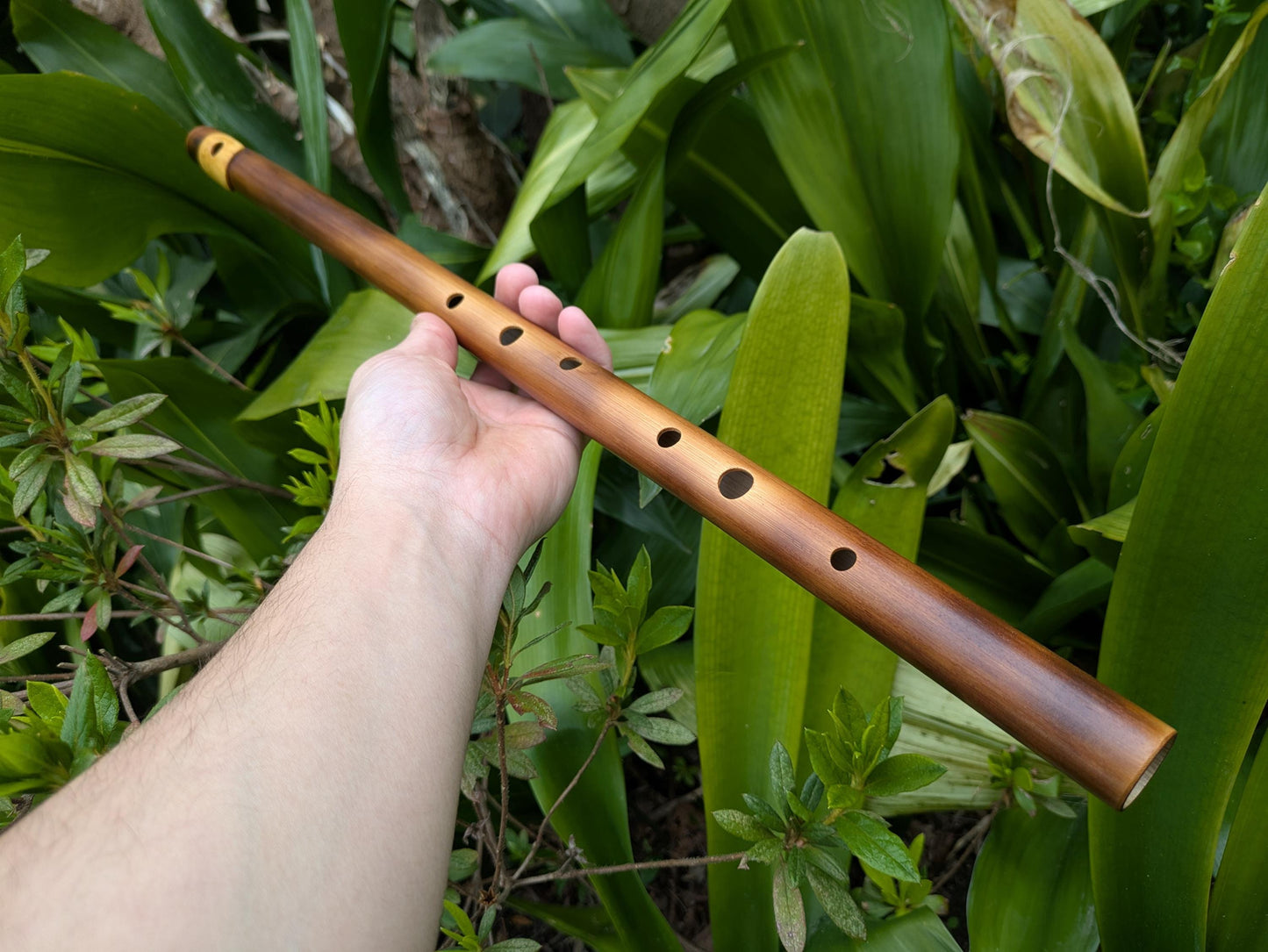 Bamboo flute in D Major with Boxwood Lip Plate | Right handed 6 holes Flute for Irish and Folk Music | Handmade Transverse Flute | Rui Gomes