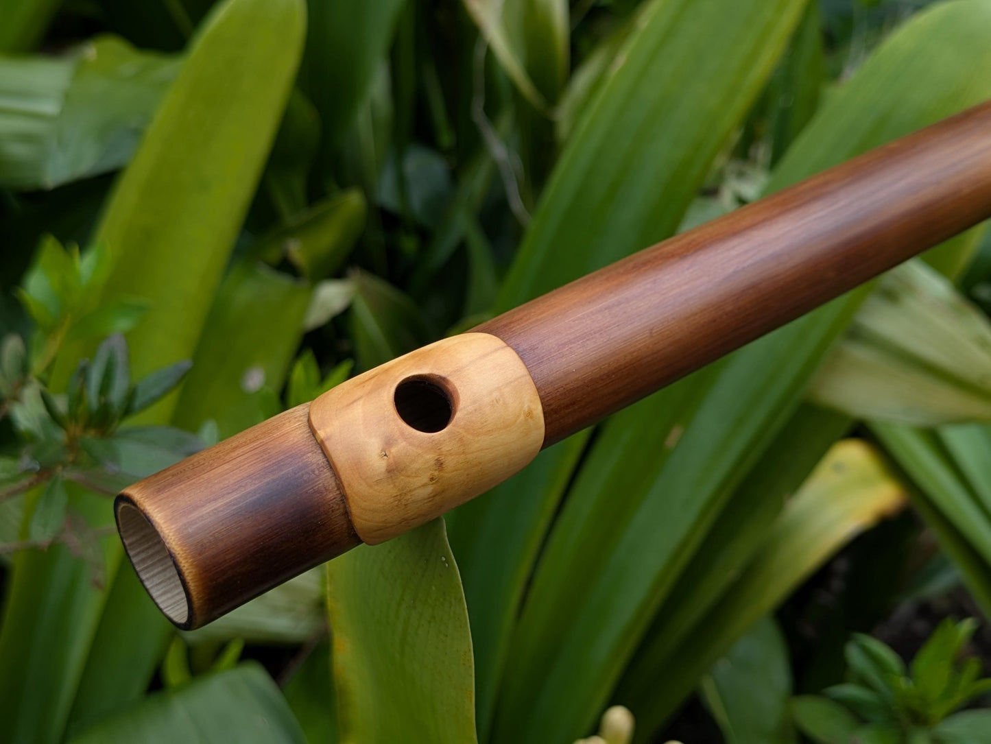 Bamboo flute in D Major with Boxwood Lip Plate | Right handed 6 holes Flute for Irish and Folk Music | Handmade Transverse Flute | Rui Gomes