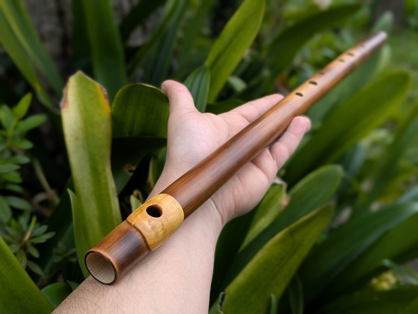 Bamboo flute in D Major with Boxwood Lip Plate | Right handed 6 holes Flute for Irish and Folk Music | Handmade Transverse Flute | Rui Gomes