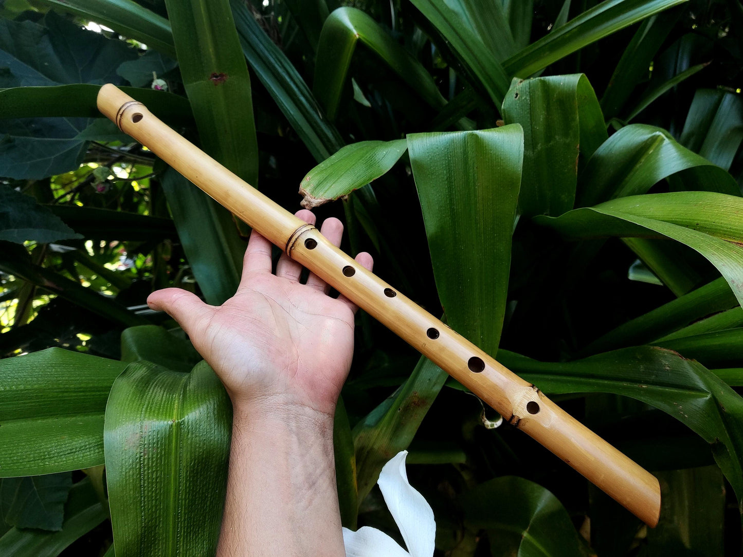 Bamboo Flute in the key of low E, One of a kind Concert Tuned Traverso | Intuitive flute for Folk music | Gift for Musician | Rui Gomes