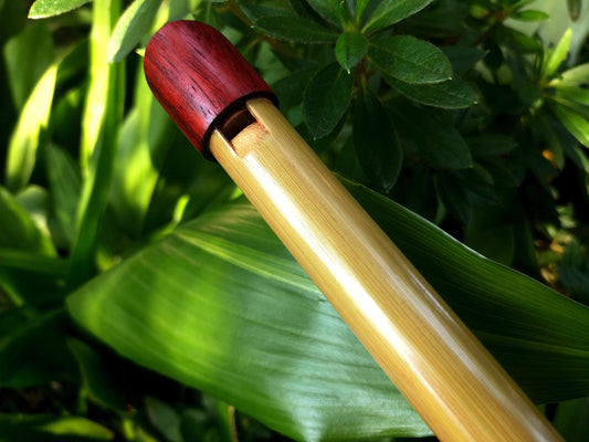 High D Tin Whistle handmade out of Bamboo and Padauk | Concert quality Irish style Soprano Whistle | Flute for Children | Gift for musician