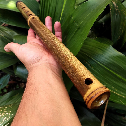 Asavari Raga Bamboo Transverse Flute in the Key of E for Meditation and Sound Journey | Oriental sounds | Gift for Musician | Handmade