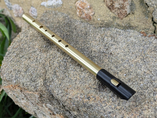 Brass Tunable Whistle in D | High D Whistle, for Irish and Celtic music | Gift for musician | New model | Sweet tone | Rui Gomes