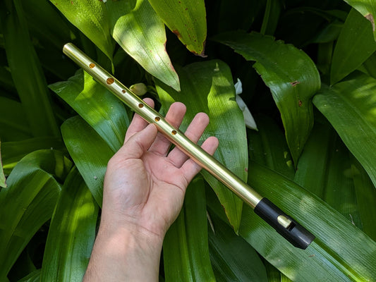 Bb major Brass Whistle | Handmade Tunable Tin Whistle | Sweet sound 6-hole whistle for Irish Traditional Music | Metal Whistle | Rui Gomes