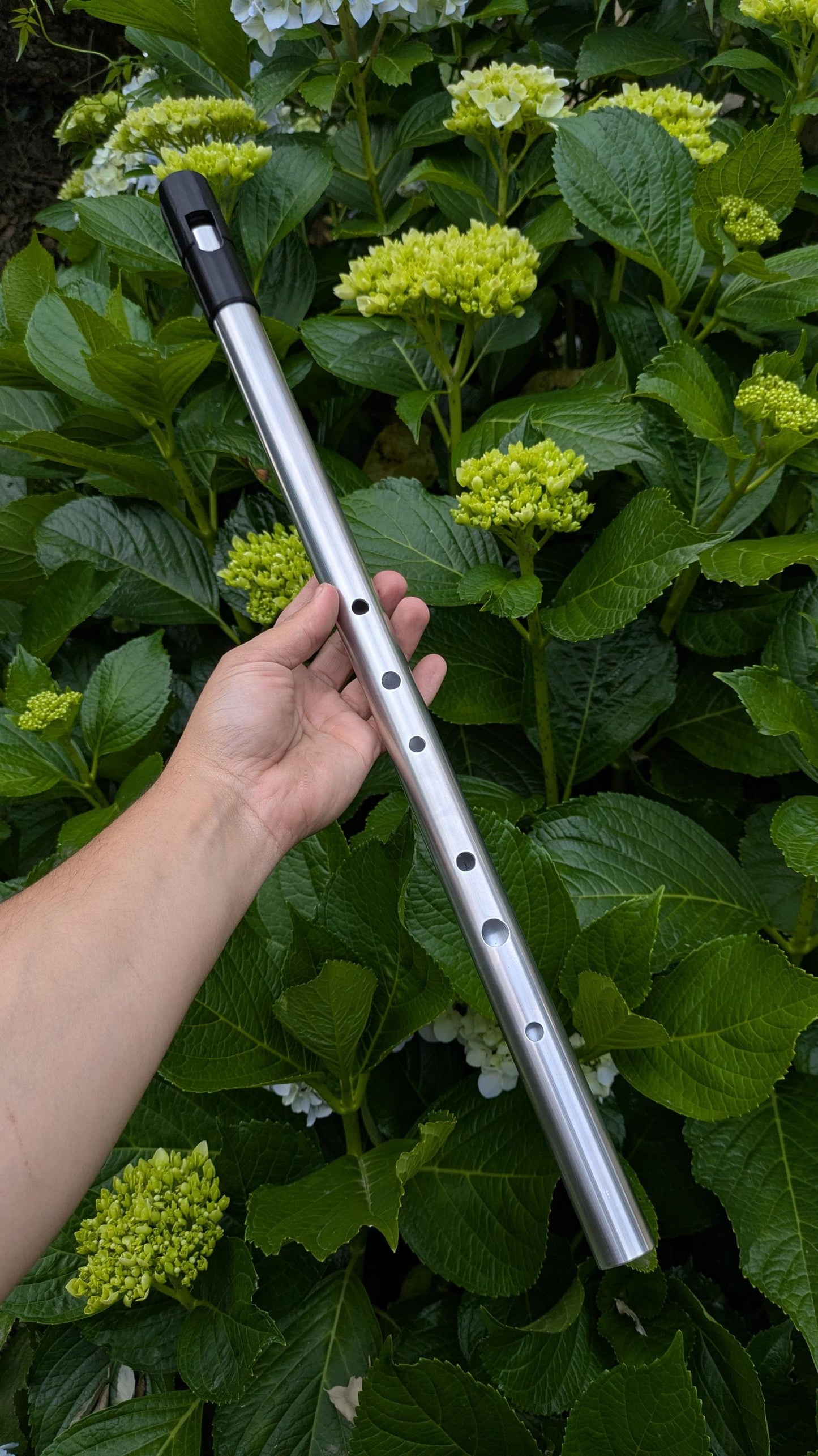 Low D Whistle in Aluminum | Tunable Concert Whistle | Low, Sweet Tone Whistle for Irish Traditional Music | Gift for Musician | Rui Gomes