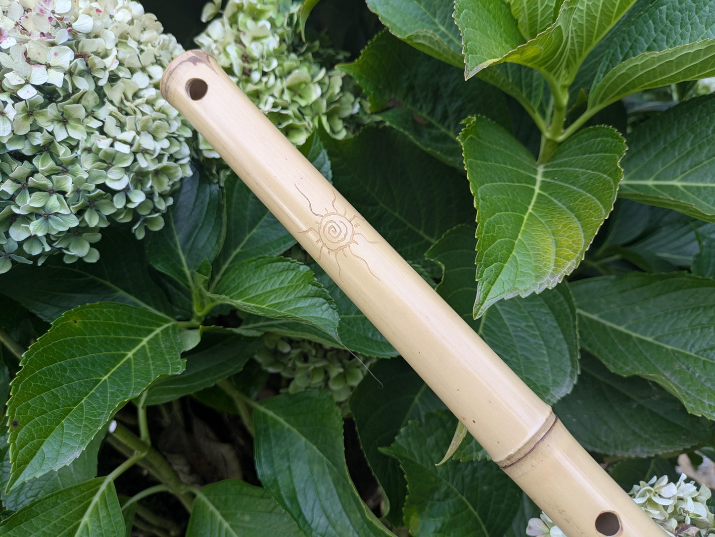 Aeolian Bamboo Flute in the key of D | 6-holes Transverse Flute with Intuitive Scale | A = 440 Hz tuning | Soothing Sound | Rui Gomes