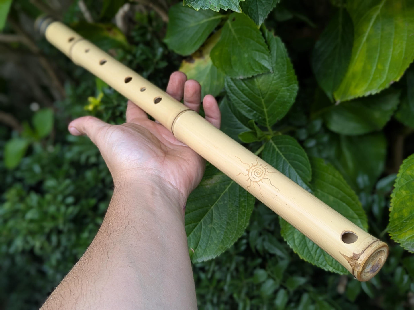Aeolian Bamboo Flute in the key of D | 6-holes Transverse Flute with Intuitive Scale | A = 440 Hz tuning | Soothing Sound | Rui Gomes