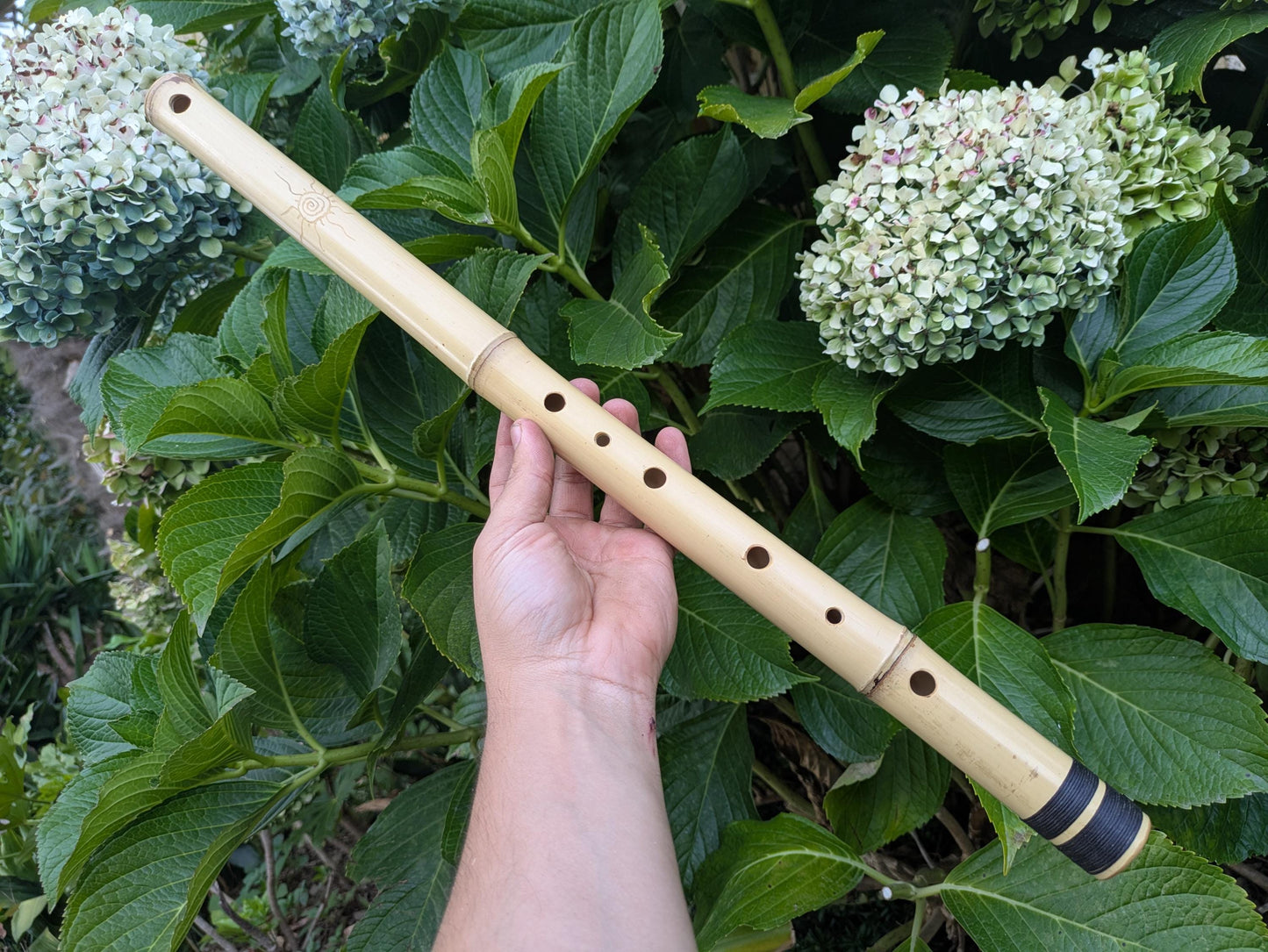 Aeolian Bamboo Flute in the key of D | 6-holes Transverse Flute with Intuitive Scale | A = 440 Hz tuning | Soothing Sound | Rui Gomes