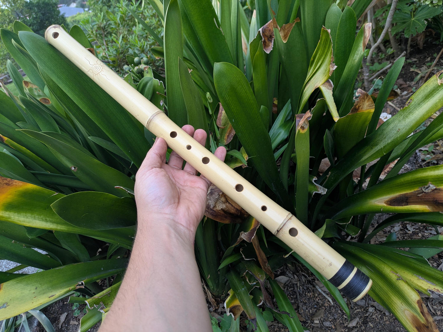 Aeolian Bamboo Flute in the key of D | 6-holes Transverse Flute with Intuitive Scale | A = 440 Hz tuning | Soothing Sound | Rui Gomes
