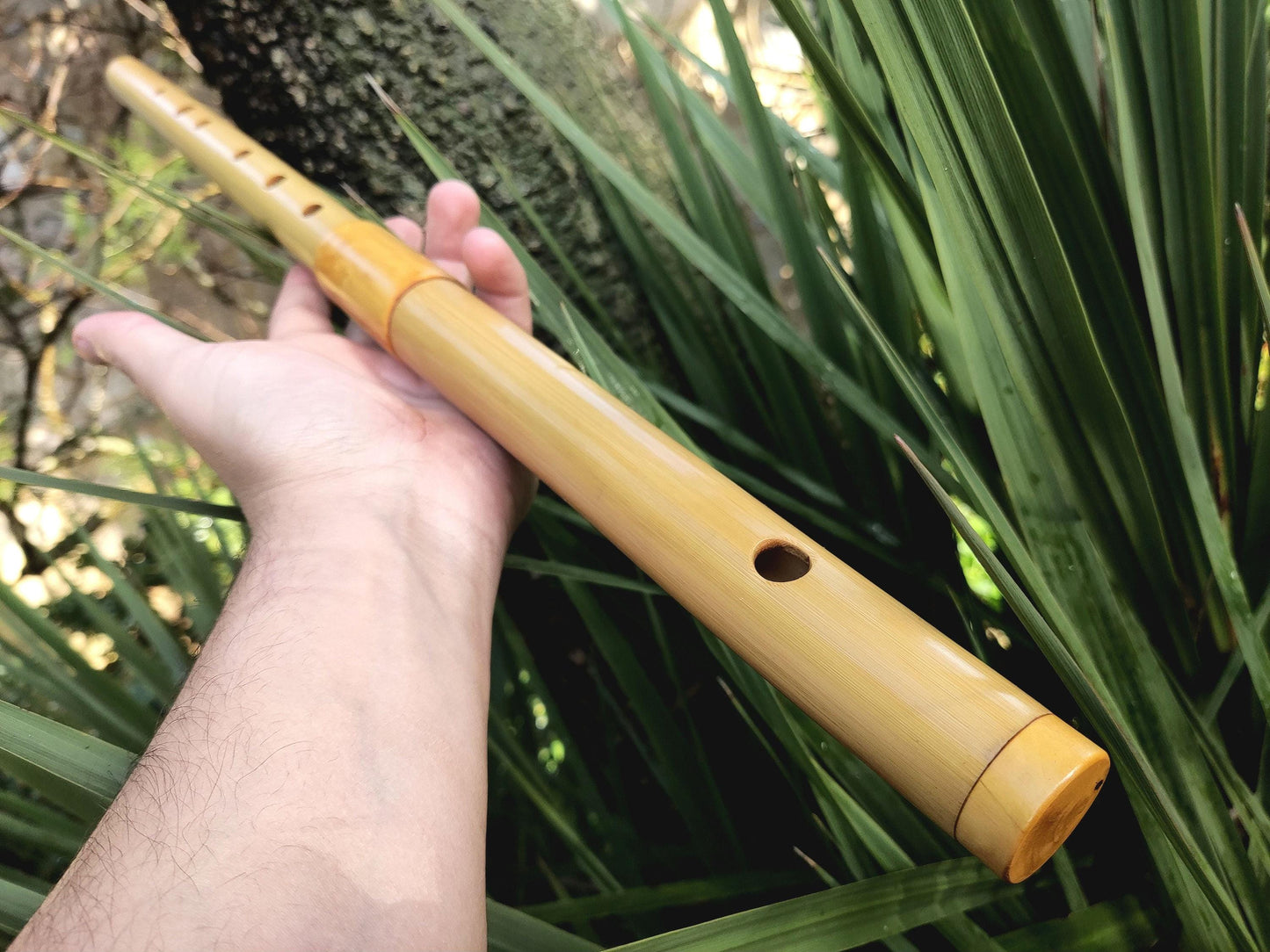 Low D Irish Flute made with Bamboo & Boxwood | Concert Quality Bamboo Flute for Traditional and Folk Music Sessions | Tunable | Rui Gomes
