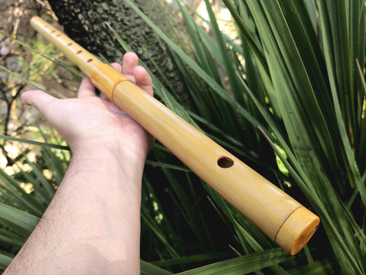Low D Irish Flute made with Bamboo & Boxwood | Concert Quality Bamboo Flute for Traditional and Folk Music Sessions | Tunable | Rui Gomes