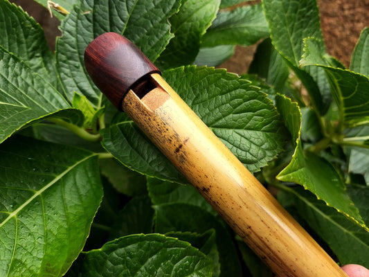 Low A Whistle Handmade out of Bamboo | Suitable for Irish and Folk Music | Rosewood and Bamboo | Traditional Music | Rui Gomes