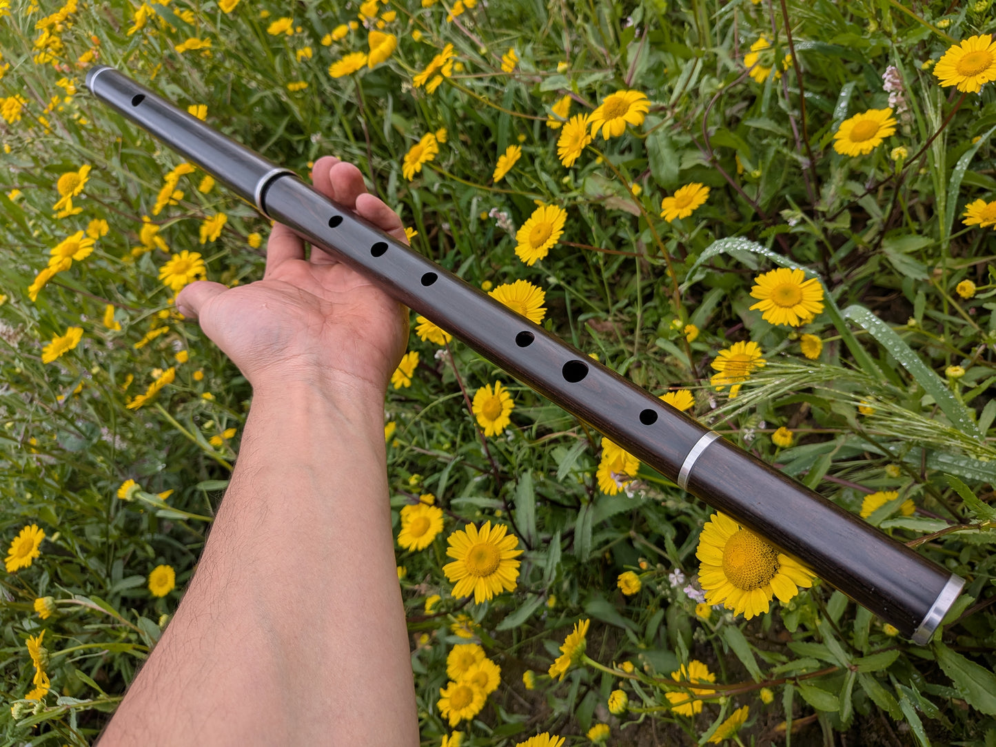 Simple system Flute in D up to 6 keys | Rui Gomes