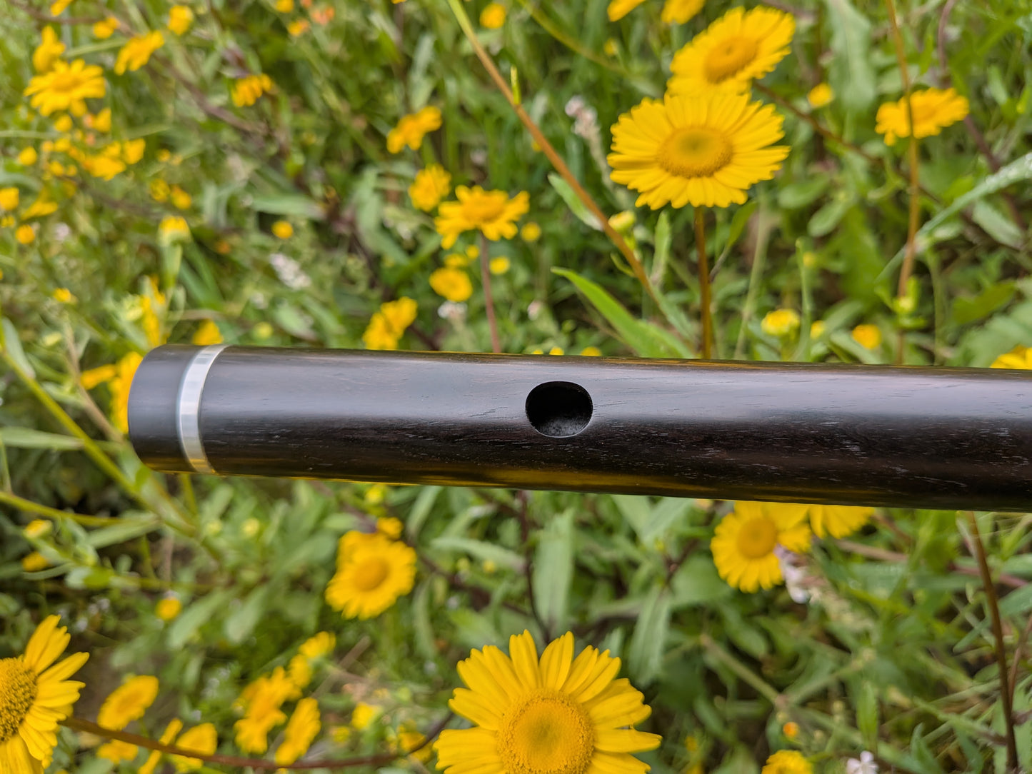 Simple system Flute in D up to 6 keys | Rui Gomes