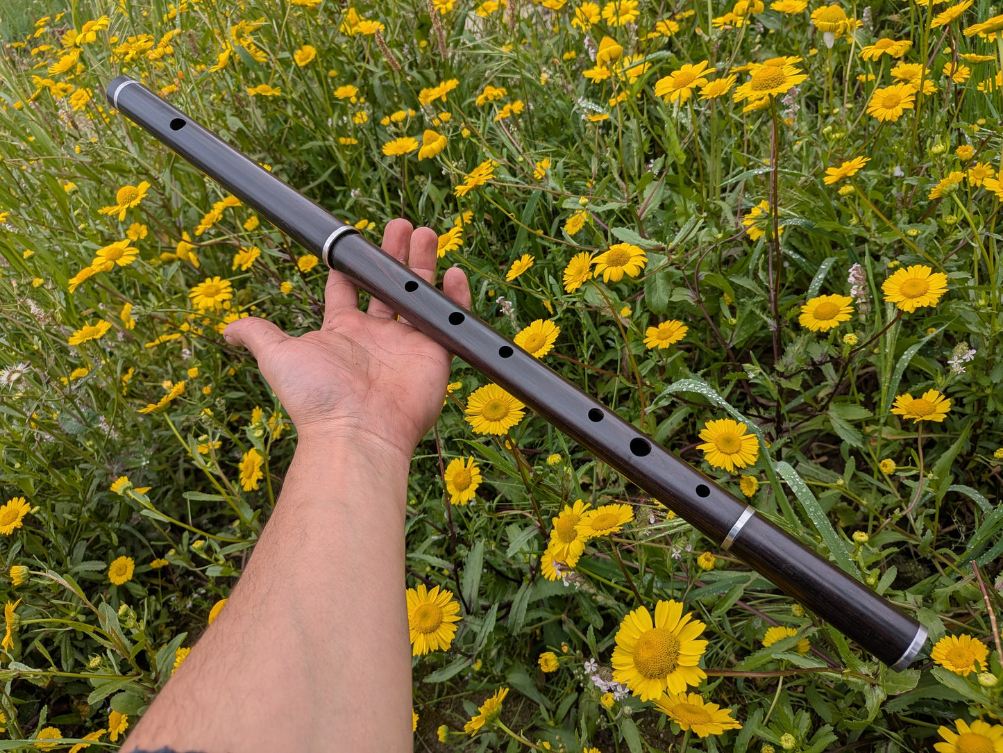 Simple system Flute in D up to 6 keys | Rui Gomes