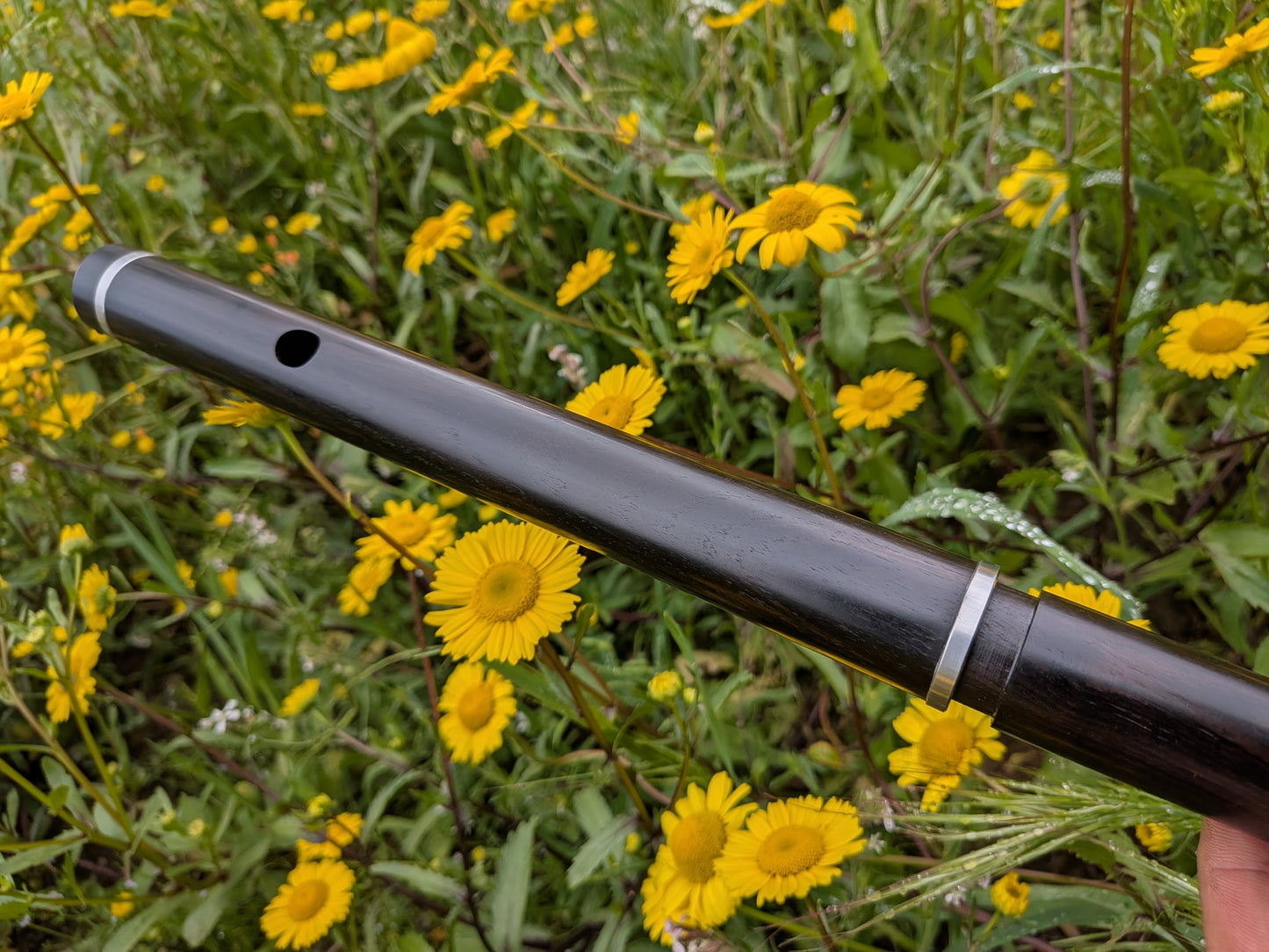 Simple system Flute in D up to 6 keys | Rui Gomes