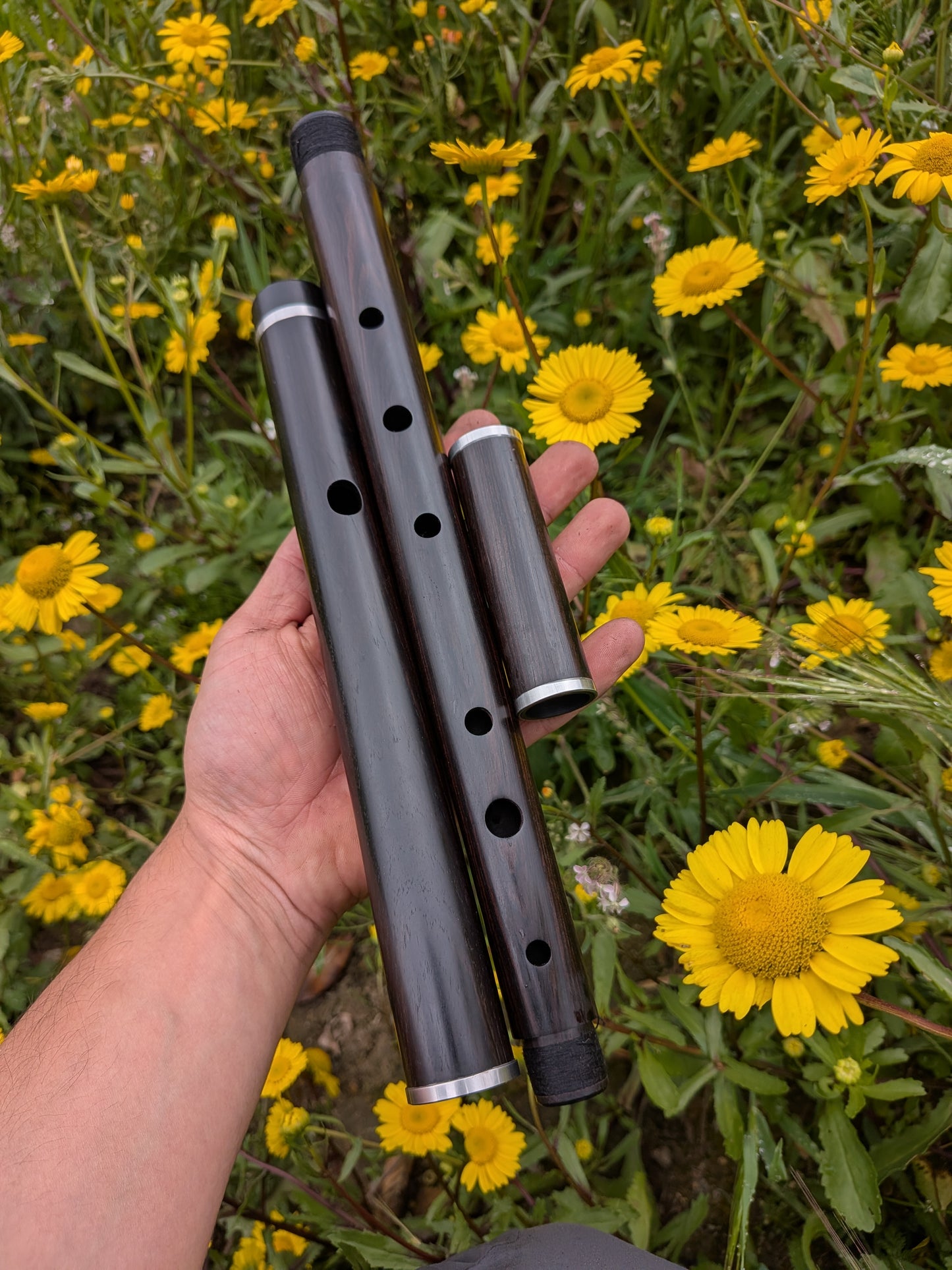 Blackwood flute in D