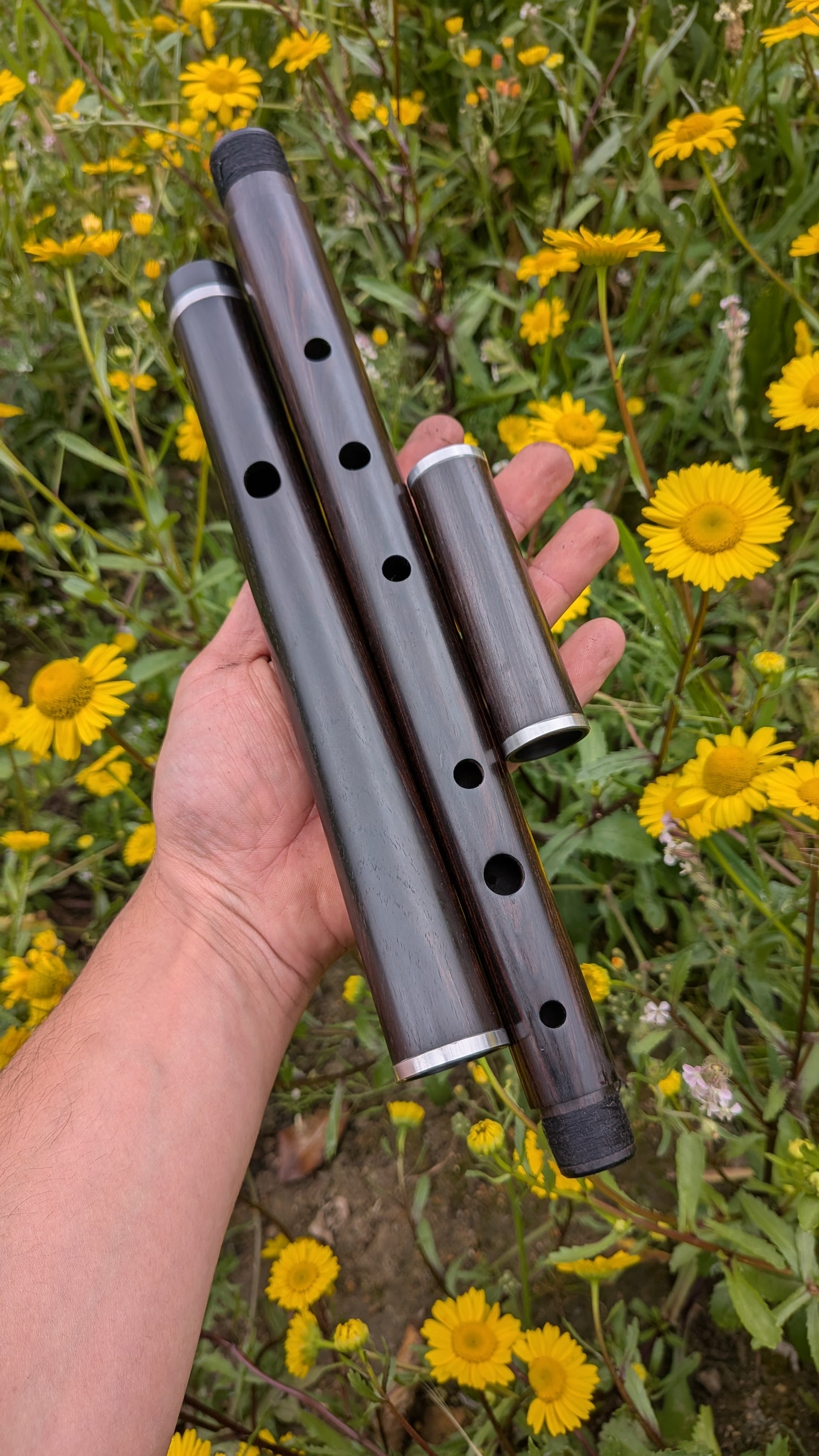 Blackwood flute in D