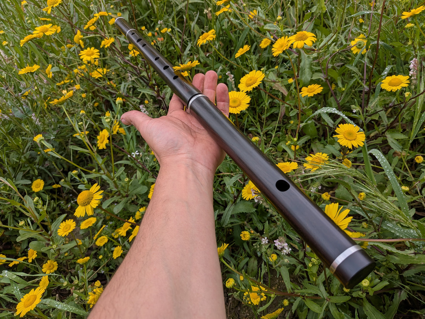Simple system Flute in D up to 6 keys | Rui Gomes