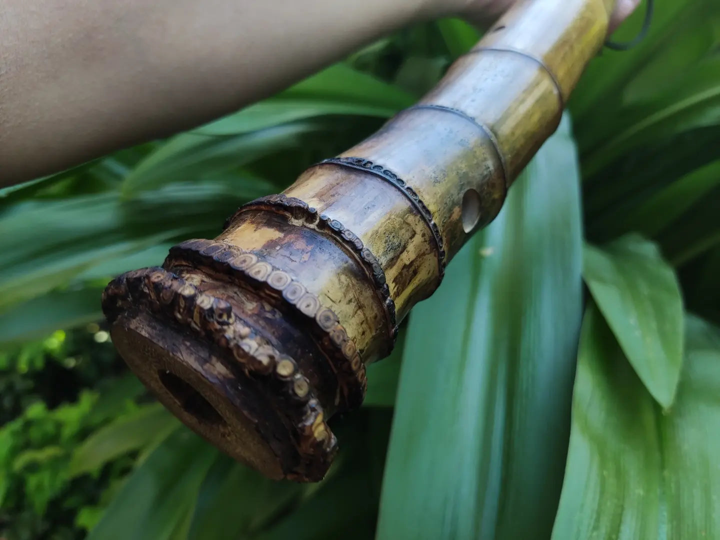 Unique Root-End Side Blown Native American Style Bamboo flute | Sopro Flutes