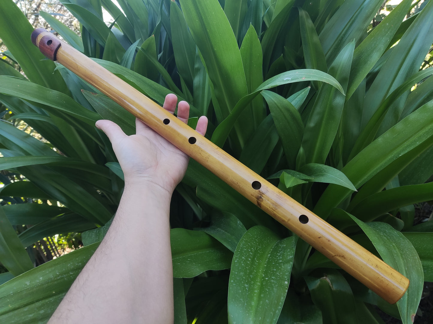 Low Bb Major Pentatonic Bamboo Flute with Lip Plate | Rui Gomes