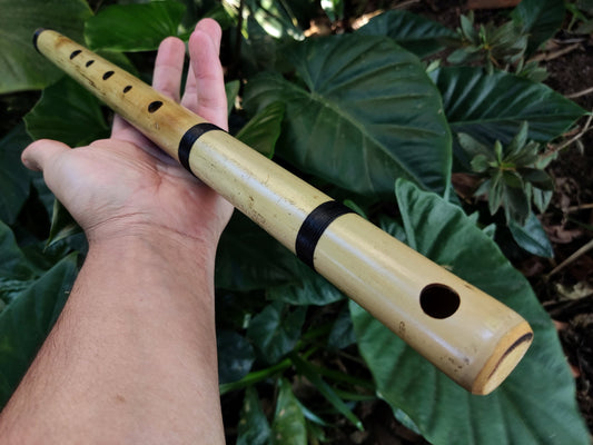 Spanish Gypsy bamboo Flute in F | Sopro Flutes