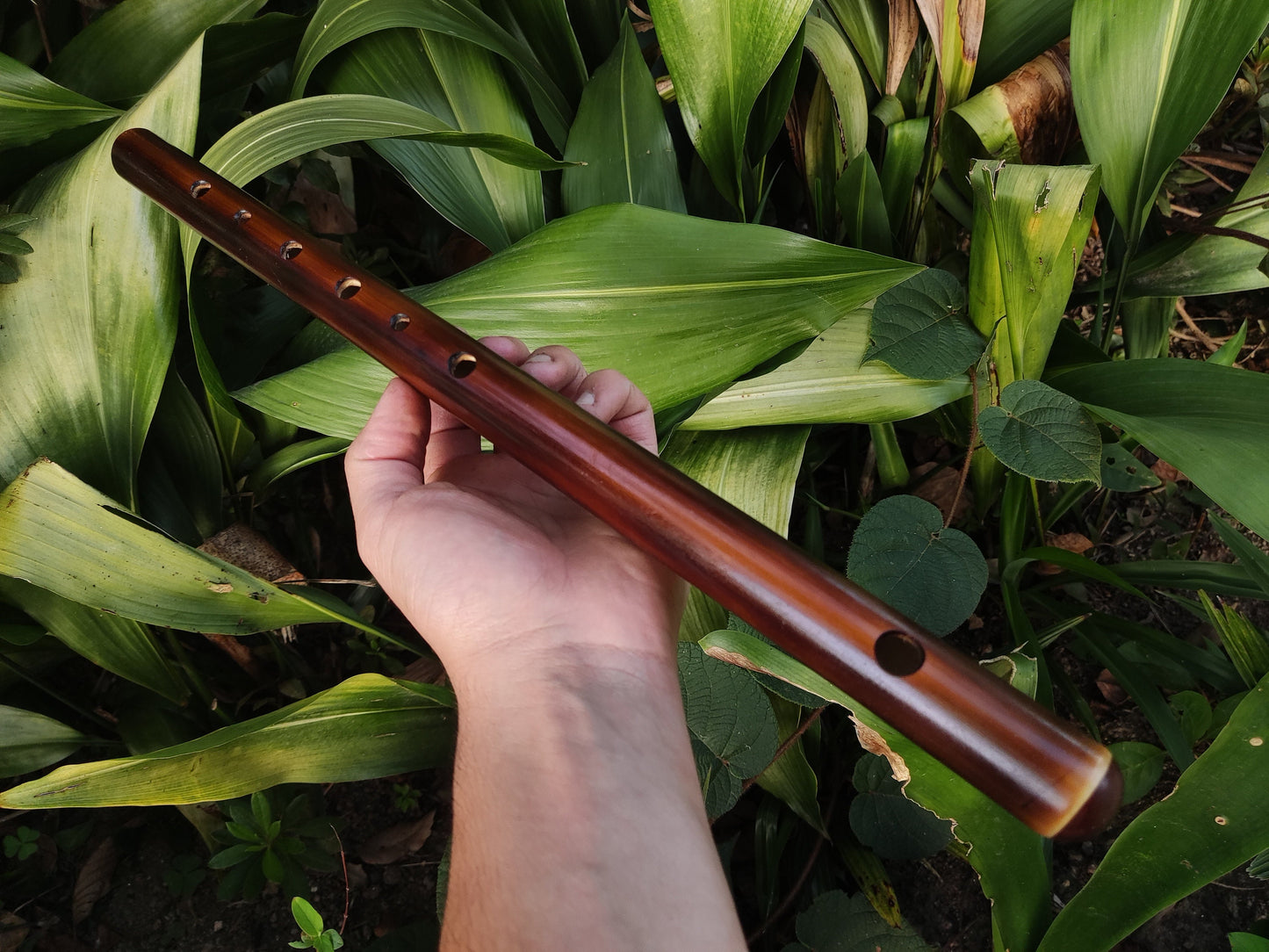 Harmonic Minor Bamboo Flute in the key of A | Sopro Flutes