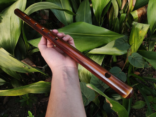 Harmonic Minor Bamboo Flute in the key of A | Sopro Flutes