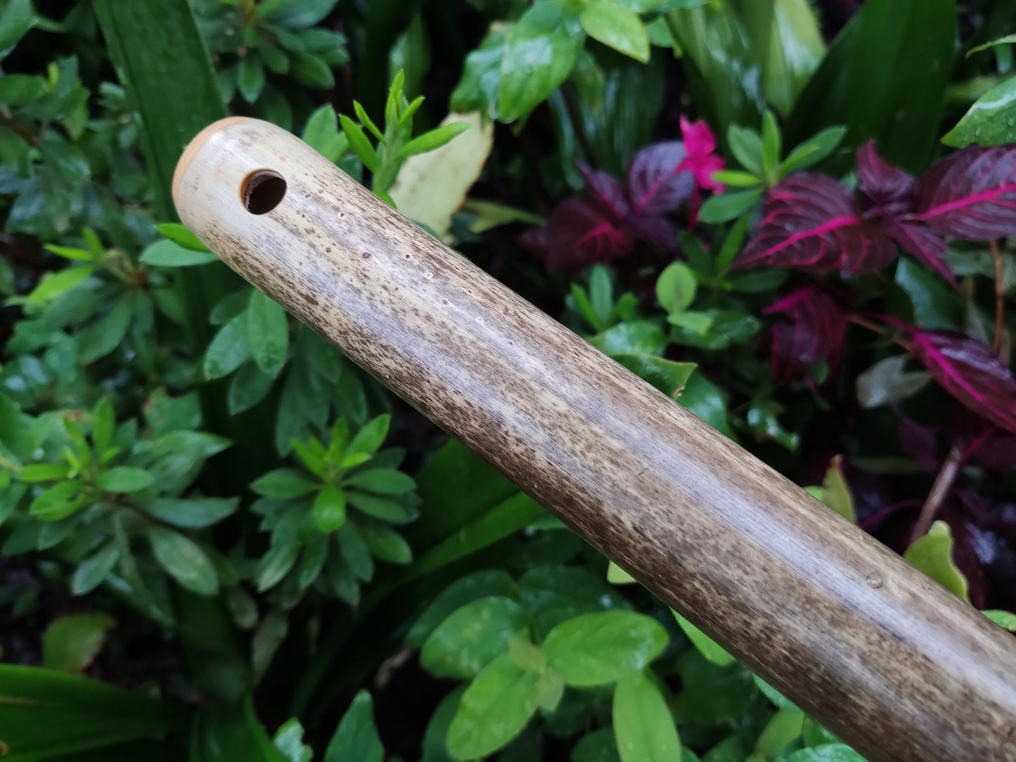 Egyptian Flute in Eb. Handmade bamboo flute with an exotic scale | Sopro Flutes