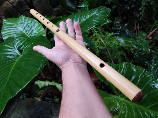 G Minor Harmonic Bamboo Flute | Rui Gomes