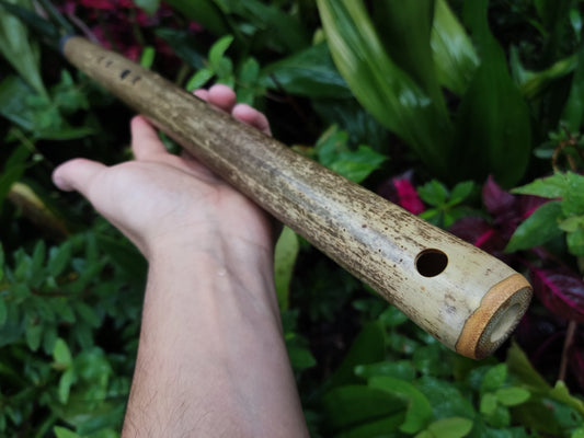 Egyptian Flute in Eb. Handmade bamboo flute with an exotic scale | Sopro Flutes