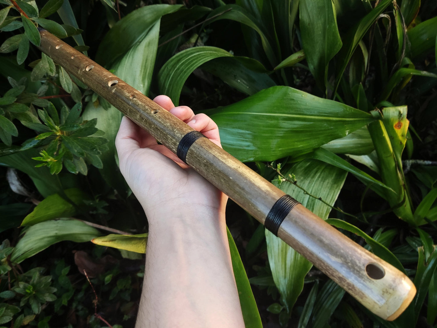 Aeolian Bamboo Flute. Natural Minor | Rui Gomes